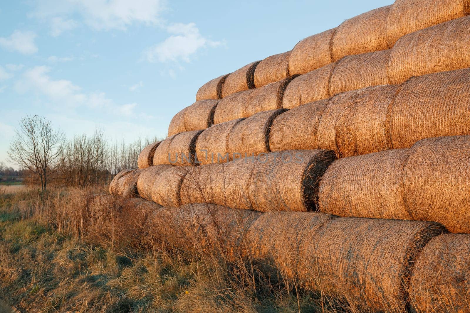 Photo a lot of bales of hay stacked on top of each other against the blue sky. Harvesting hay, dry grass.