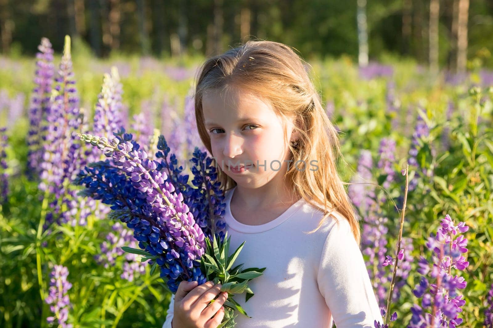 portrait of cute little happy two year old kid girl with bloom flowers lupines in field of purple flowers. Child in nature concept.