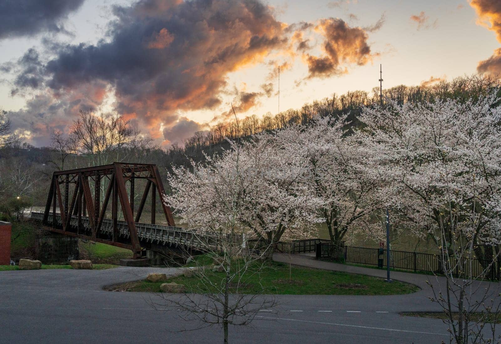 Old steel girder bridge carrying walking and cycling trail in Morgantown WV over Deckers Creek with cherry blossoms blooming in the spring