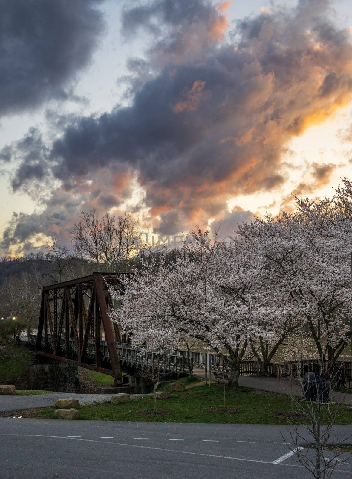 Steel girder bridge carries the bike walking trail over Deckers Creek Morgantown by steheap