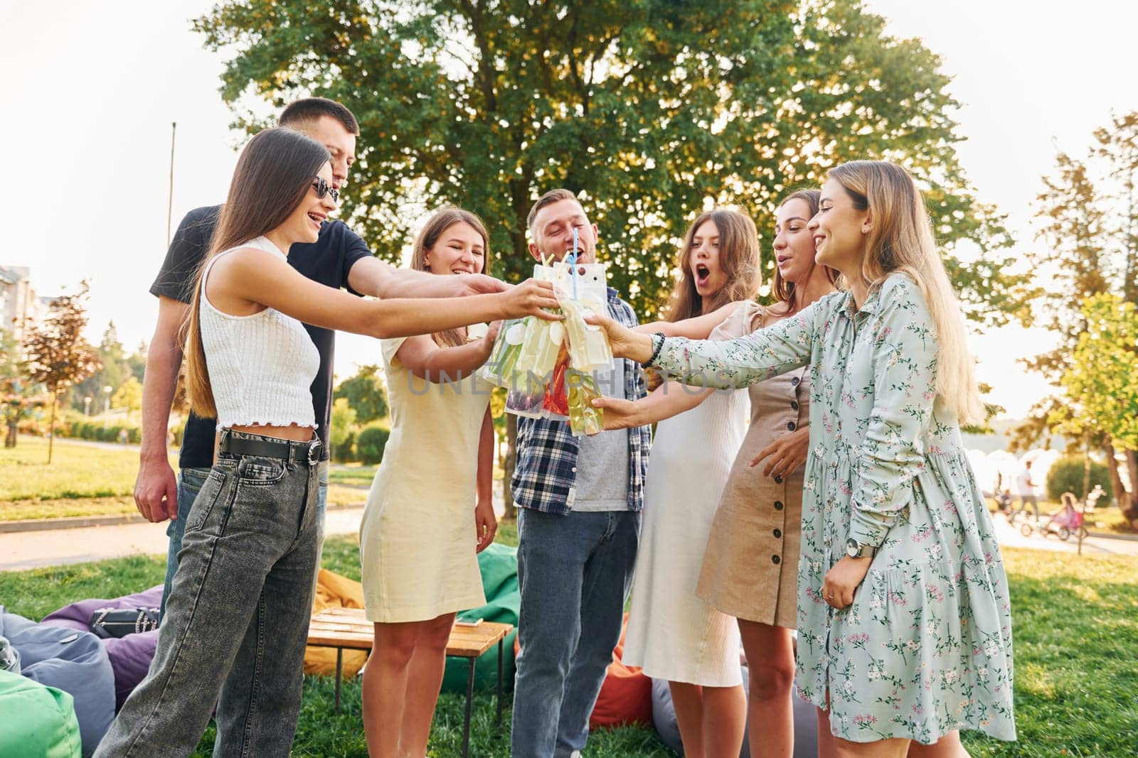 Having a drink. Group of young people have a party in the park at summer daytime.