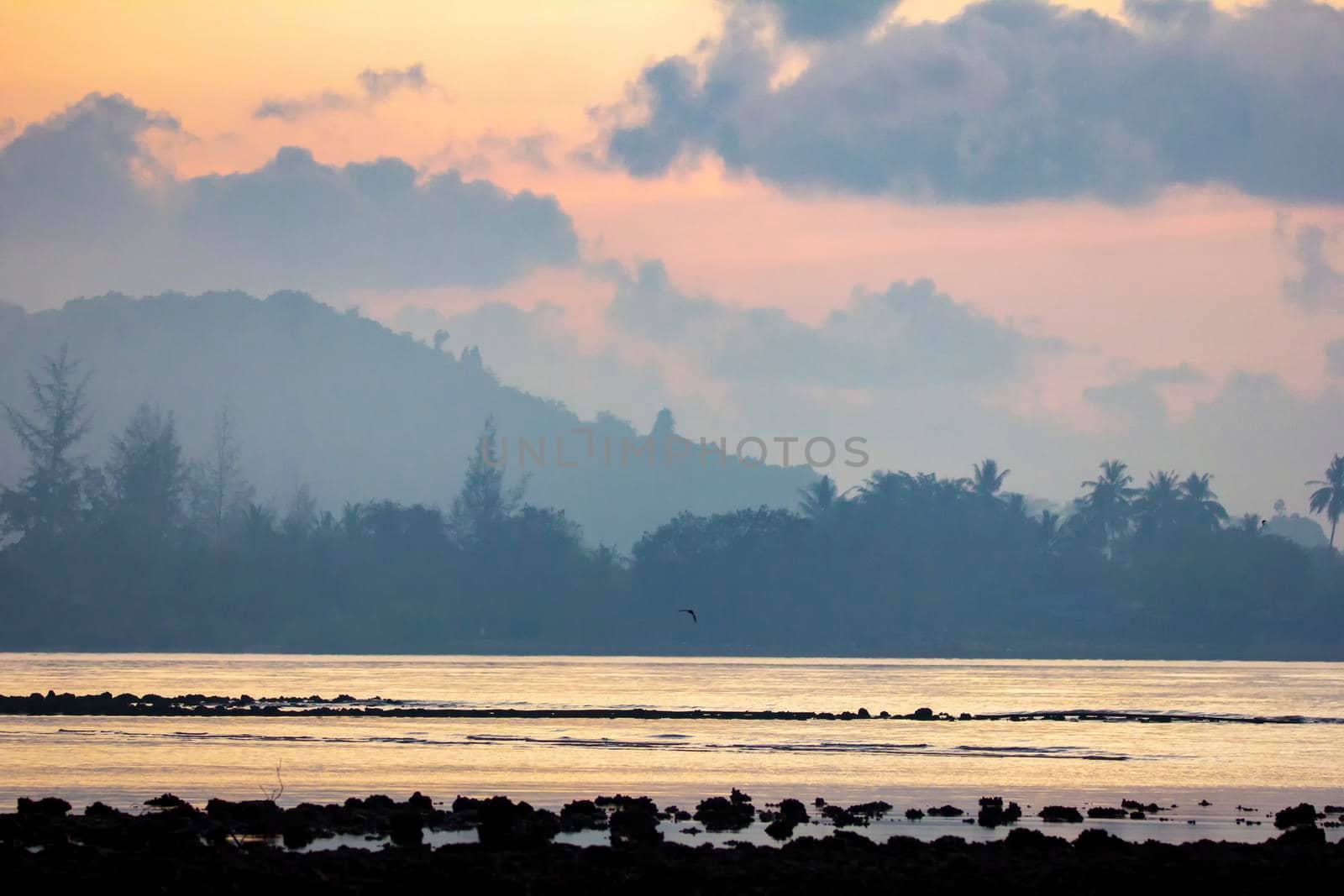 The seaside atmosphere at the early morning. First light before sunrise. mangrove forest.