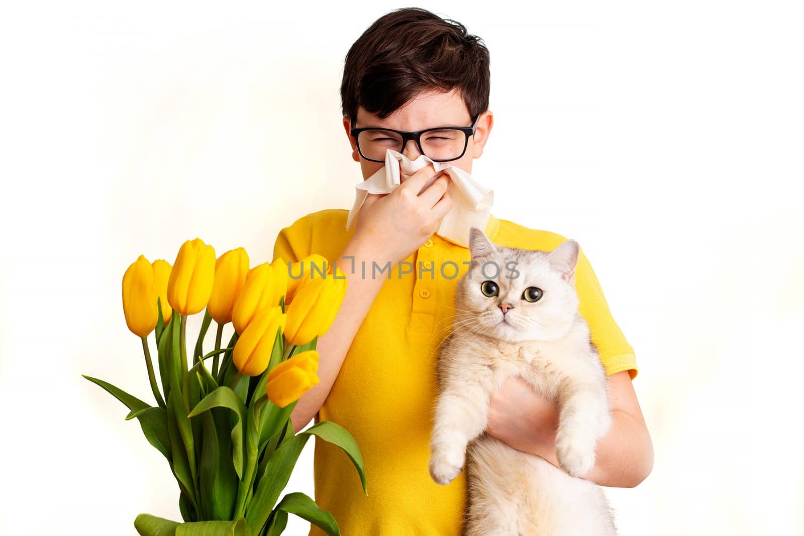 a dark-haired boy with glasses, dressed in a yellow T-shirt, holds a white cat and covered his nose with a paper napkin and sneezes, a bouquet of yellow tulips stands next to it, on a white background. To close up.