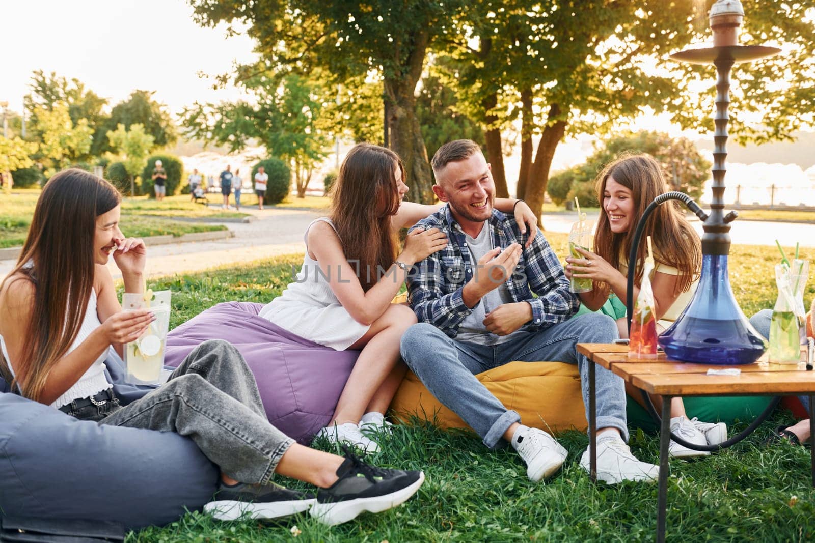 In casual clothes. Group of young people have a party in the park at summer daytime.