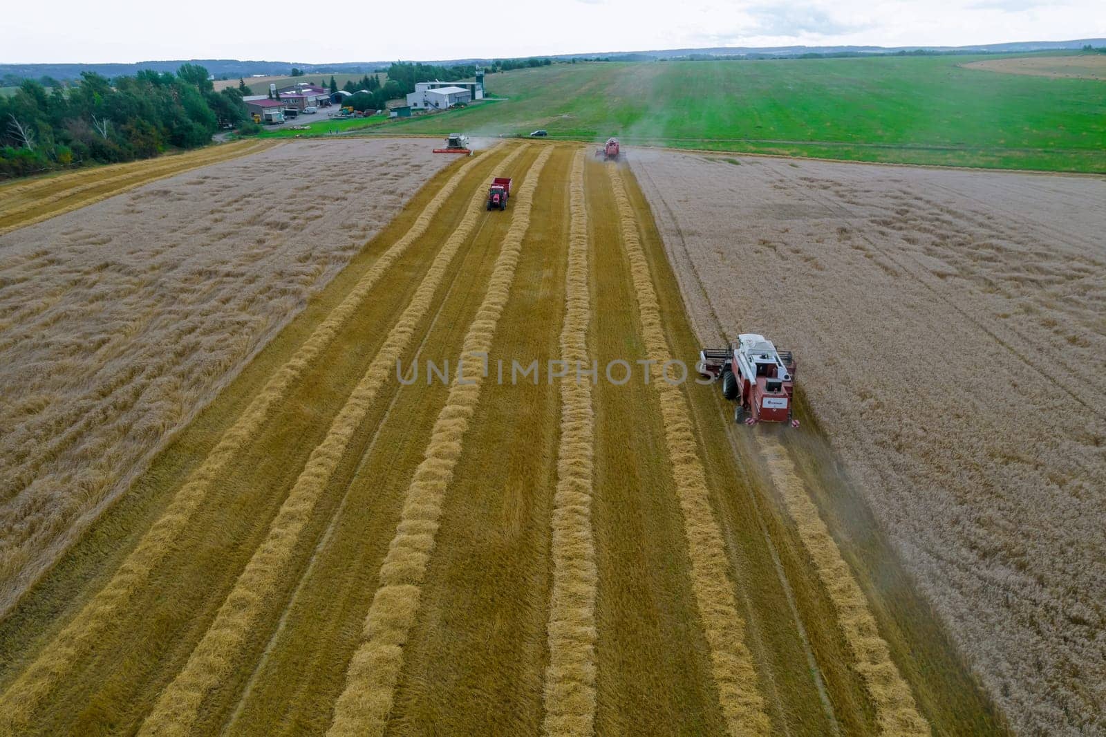 Combine harvesters harvest wheat, a tractor with a trailer drives across the field. Wheat harvest. View from above, export of grain.