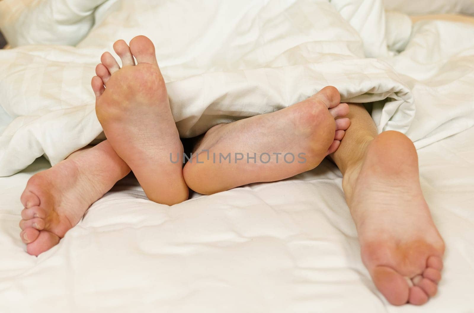 The legs of a couple in love peek out from under the blanket. Close-up.