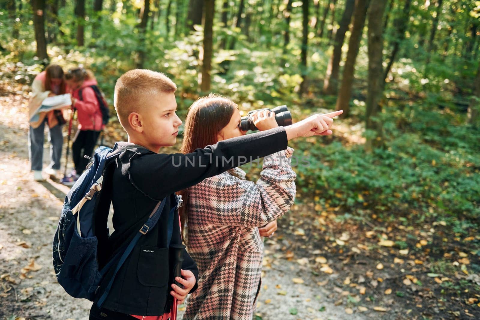 Conception of hiking. Kids in green forest at summer daytime together.