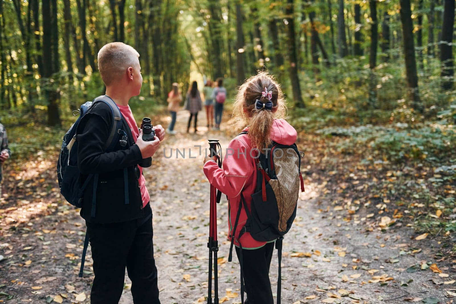 Founding the way. Kids in green forest at summer daytime together.