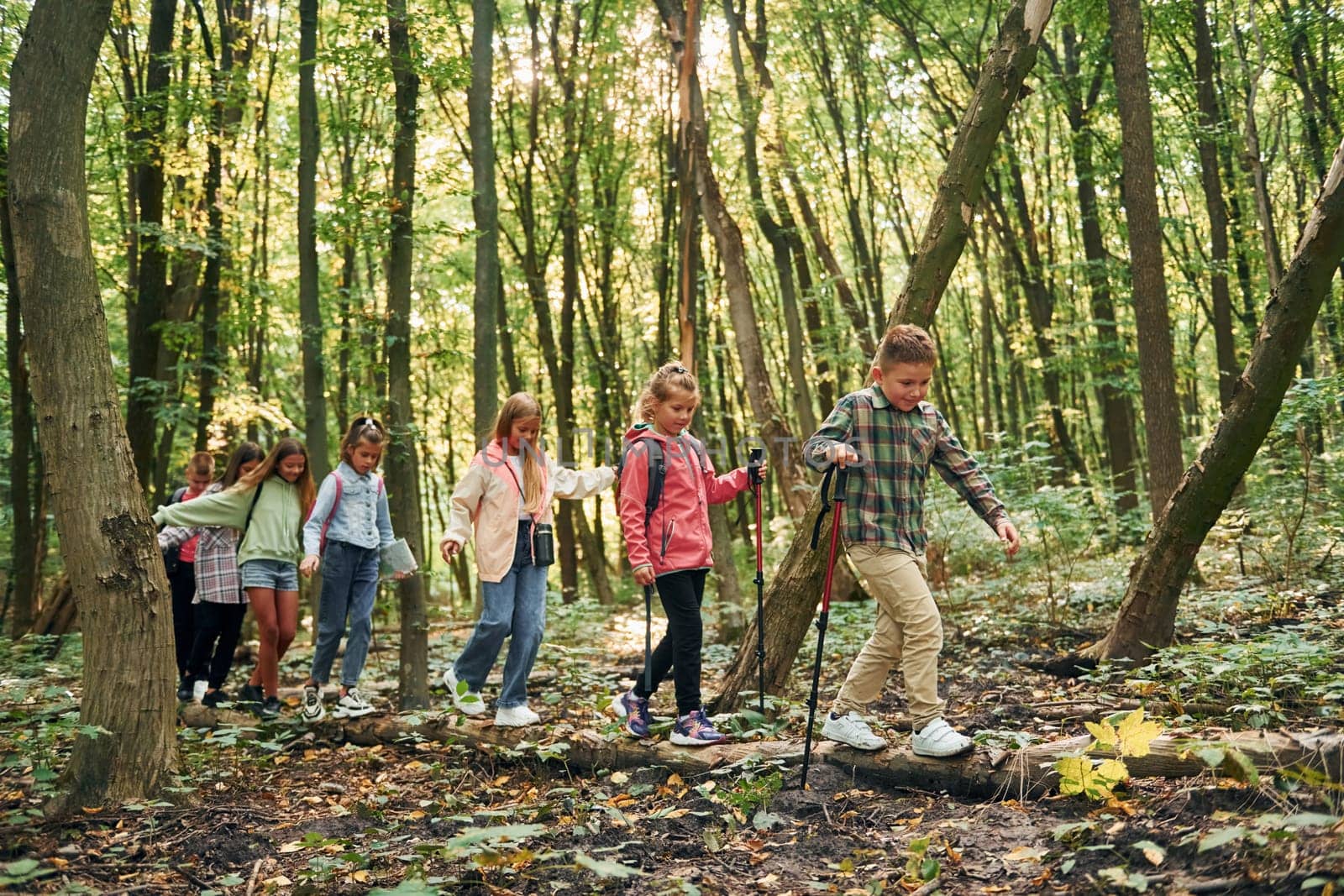 Walking on the log. Kids in green forest at summer daytime together.