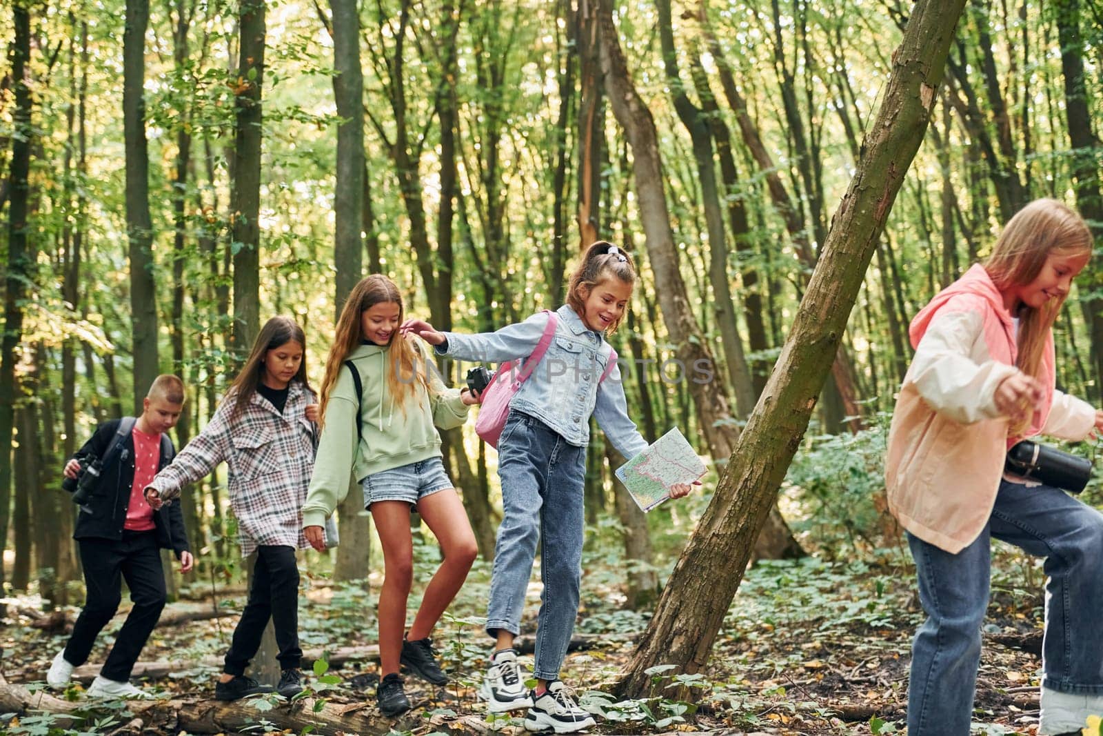 Walking on the log. Kids in green forest at summer daytime together.