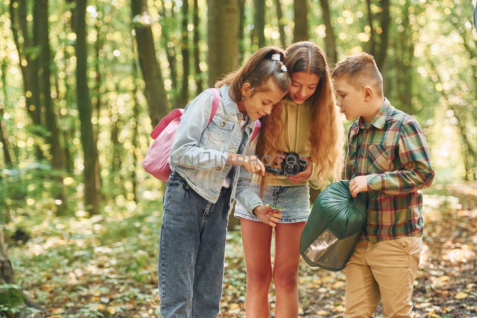Having a walk. Kids in green forest at summer daytime together.