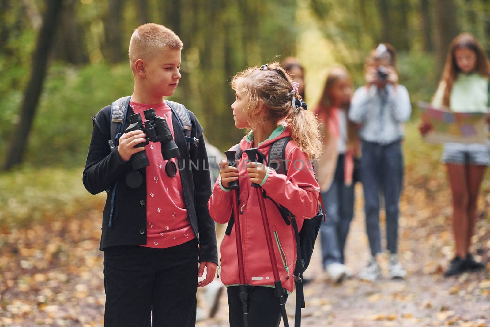 Group of people. Kids in green forest at summer daytime together.