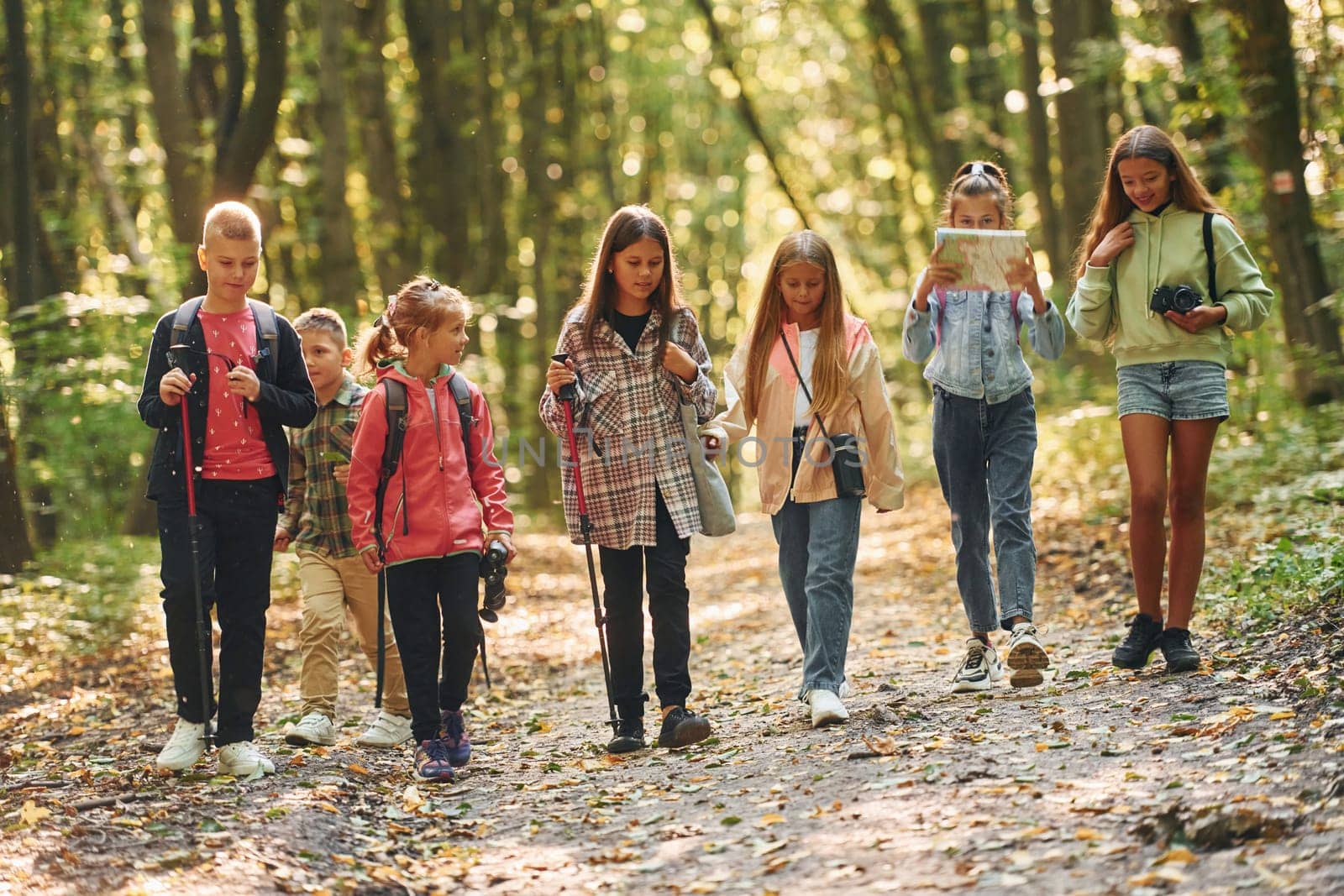 Group of people. Kids in green forest at summer daytime together.