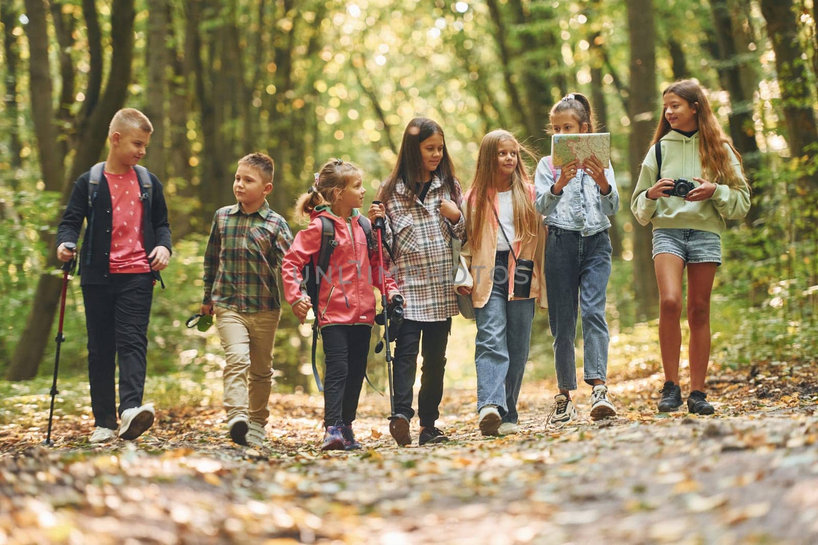 Walking together. Kids in green forest at summer daytime.