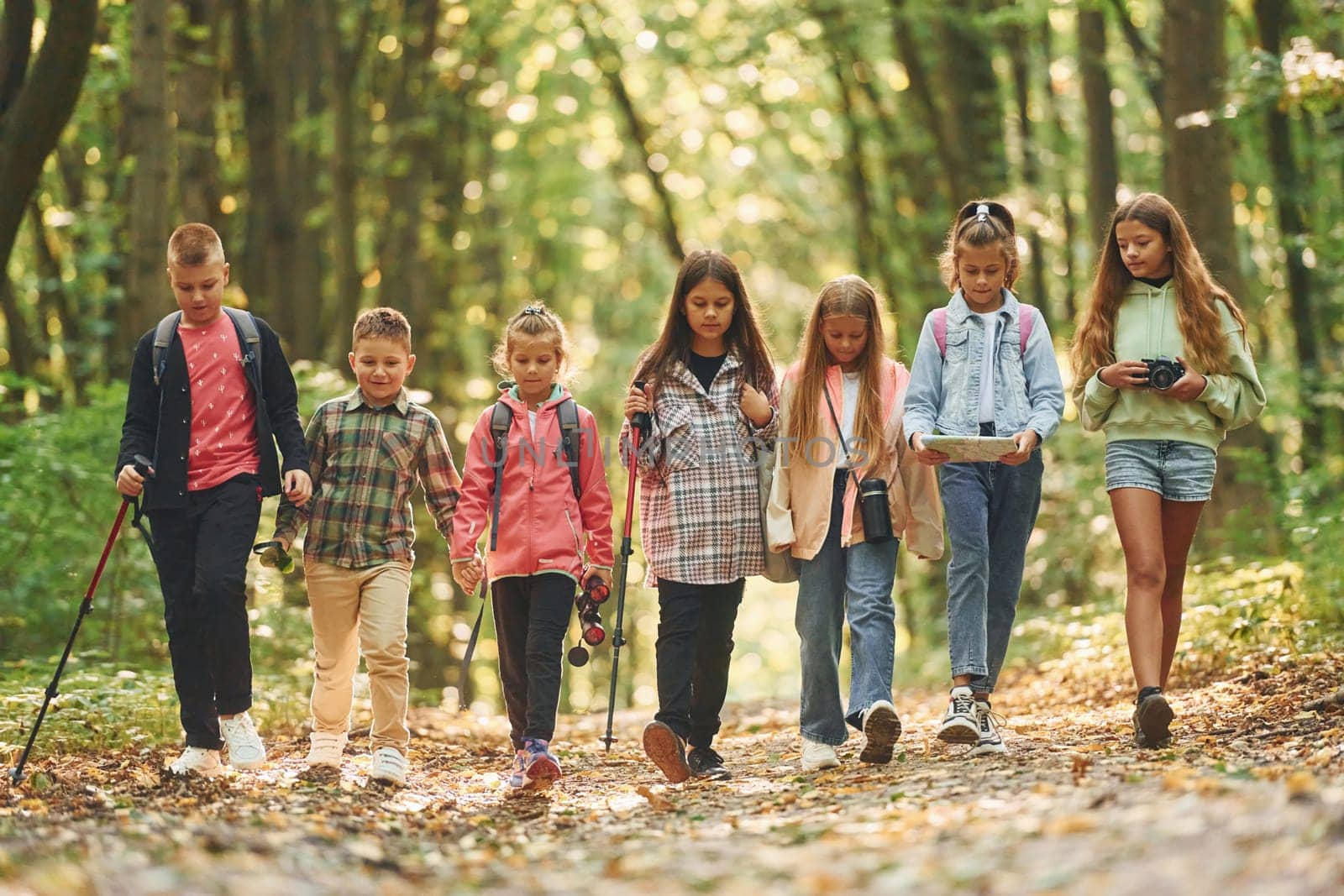 Walking together. Kids in green forest at summer daytime.