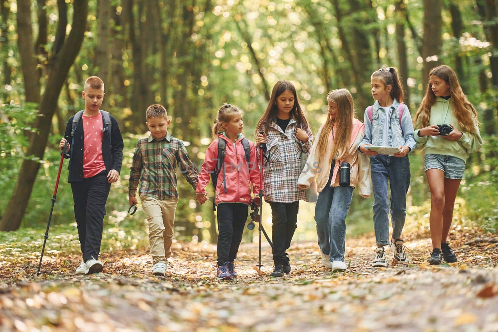 Walking together. Kids in green forest at summer daytime.
