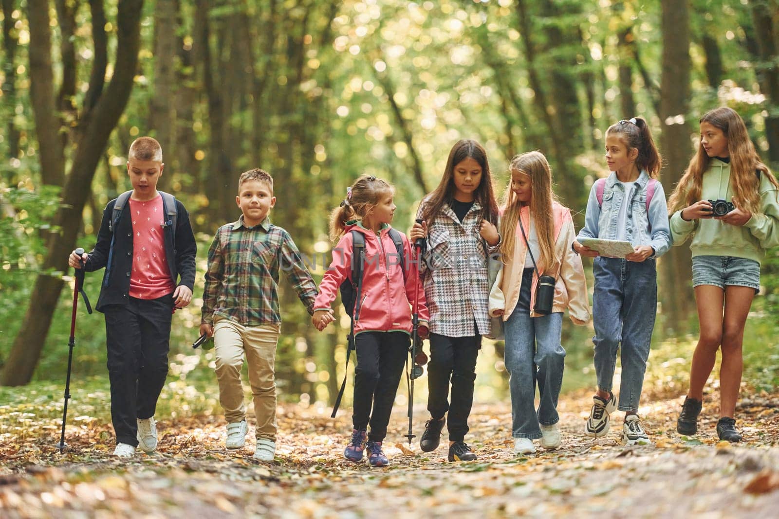 In green forest. Kids having a walk outdoors at summer daytime together.
