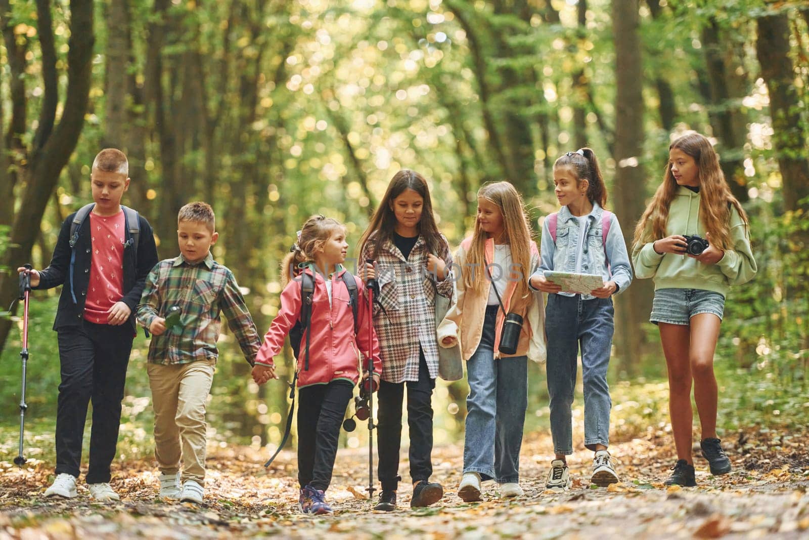 In green forest. Kids having a walk outdoors at summer daytime together.