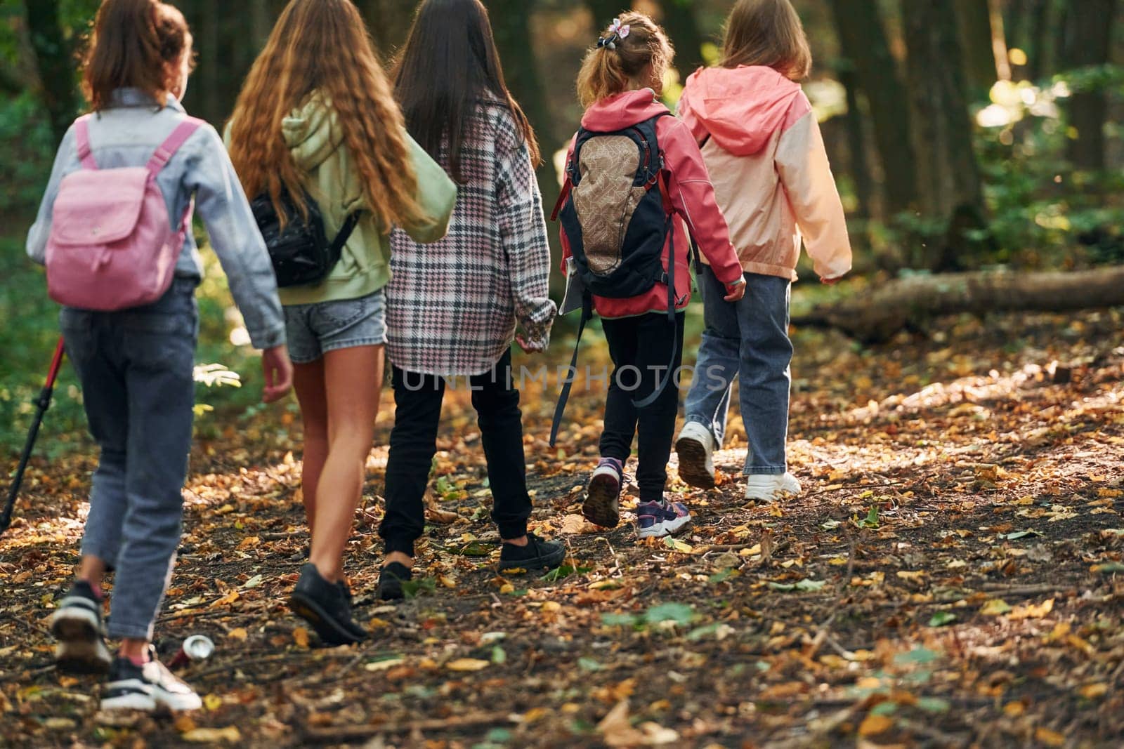 With touristic equipment. Kids in green forest at summer daytime together.