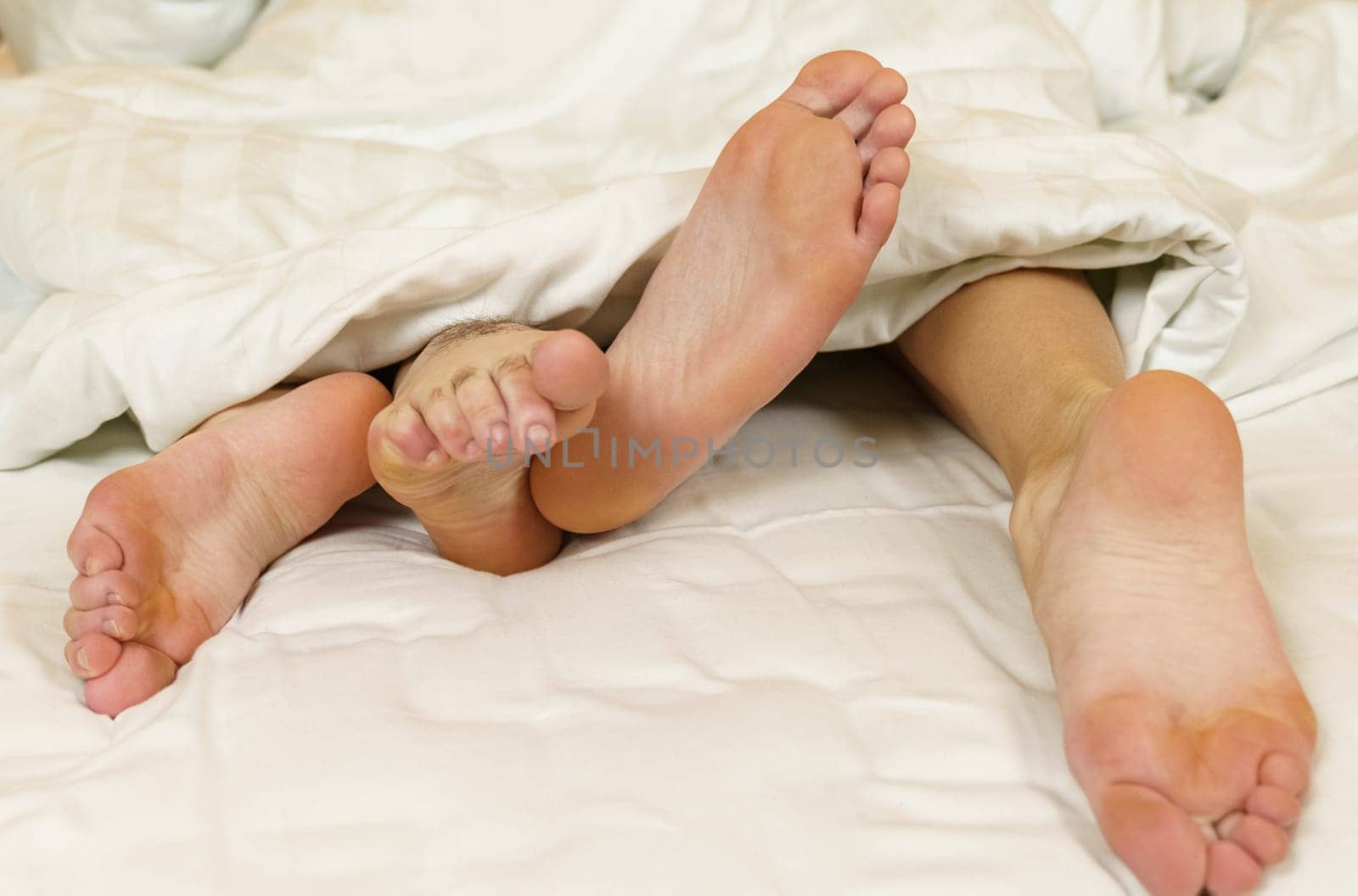 The legs of a couple in love peek out from under the blanket. Close-up.