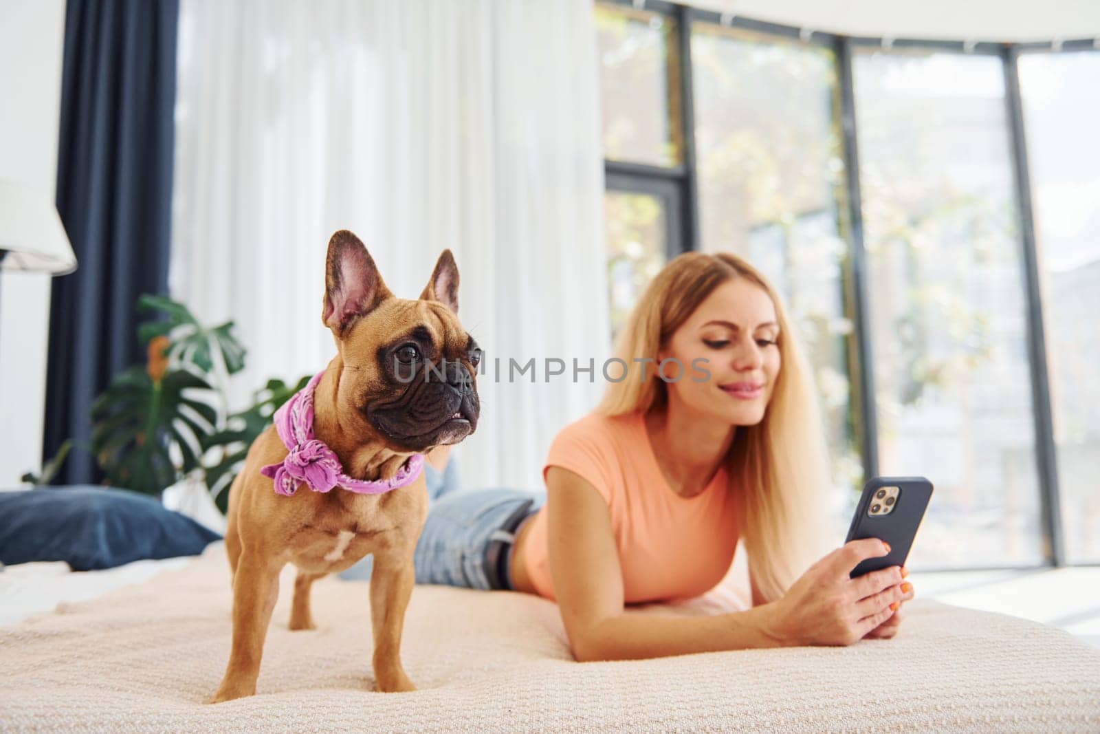 Holding phone. Woman with pug dog is at home at daytime.