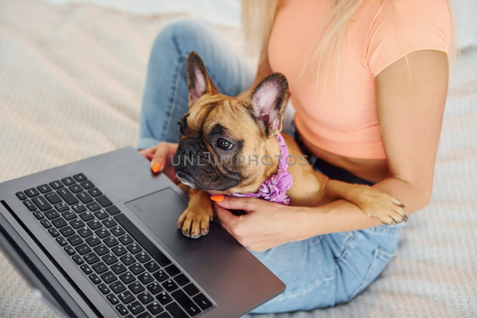 Using laptop. Woman with pug dog is at home at daytime.