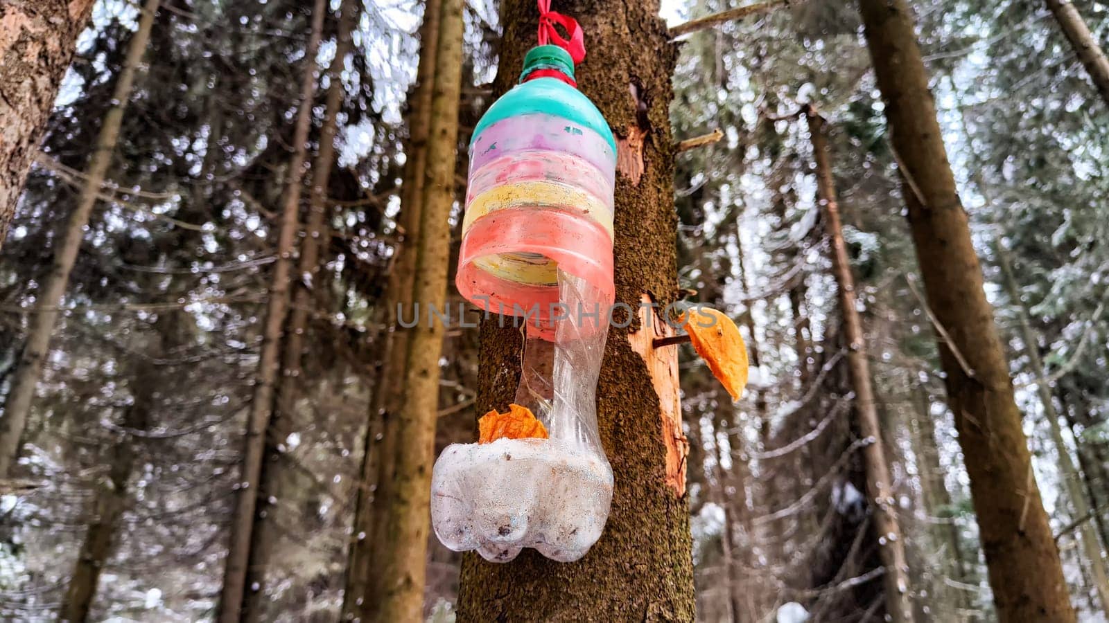 Close-up of a Bird feeder from a plastic bottle on a tree under the snow in the forest by keleny