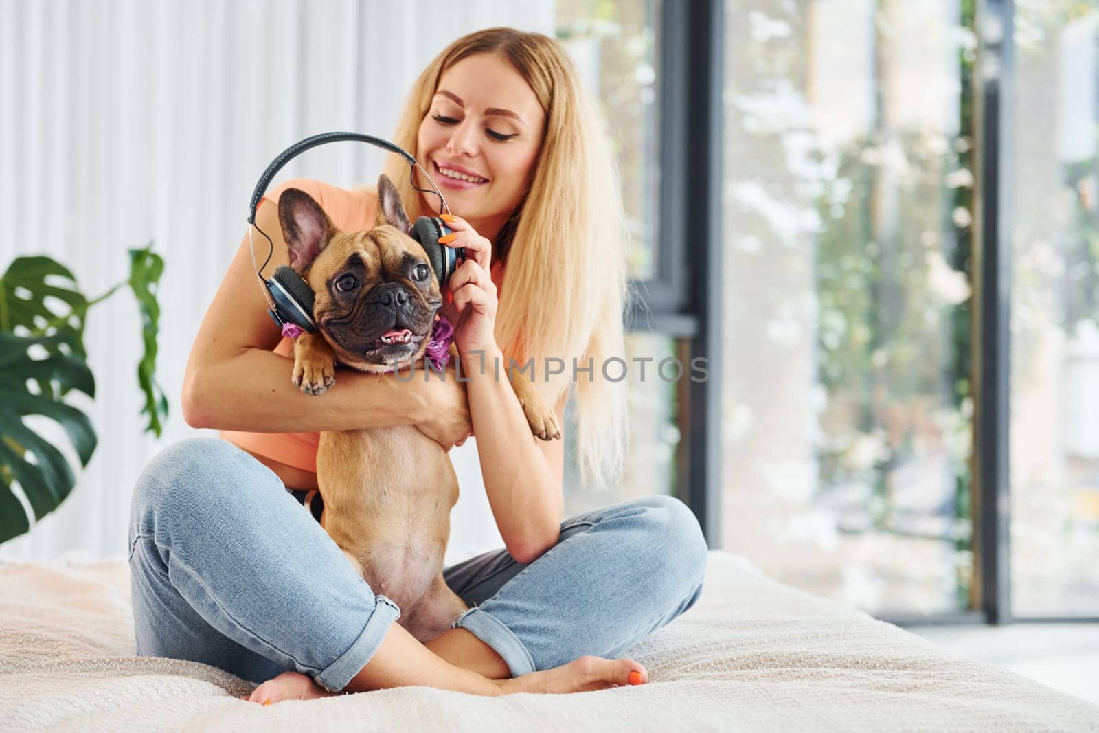 Putting headphones on pet. Woman with pug dog is at home at daytime.