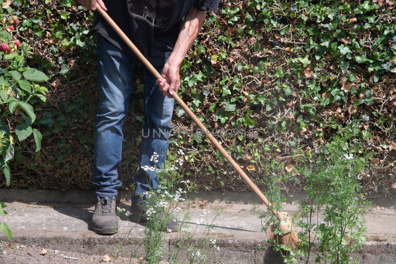 Male gardener cleans paths in his garden, living area and improves sanitary conditions, Worker cleans up all rubbish, garbage, dust, twigs, leaves, High quality photo