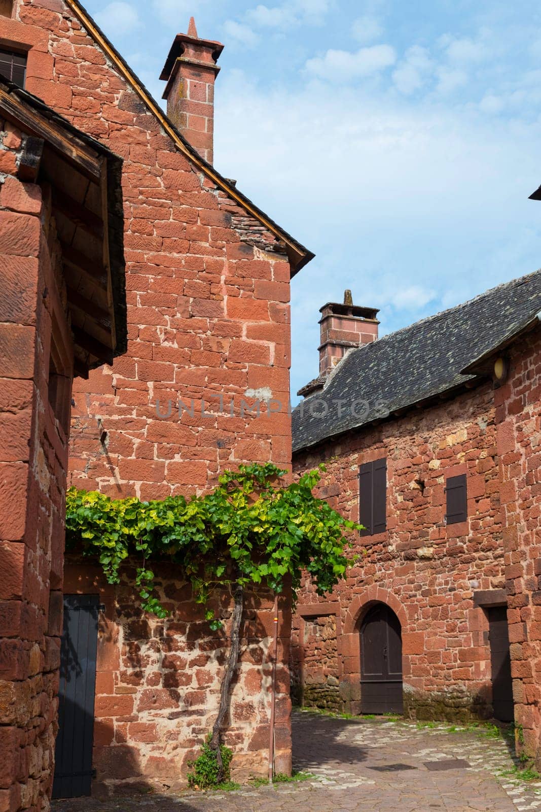 The red village Collonges la rouge in france with green grapes plant by compuinfoto