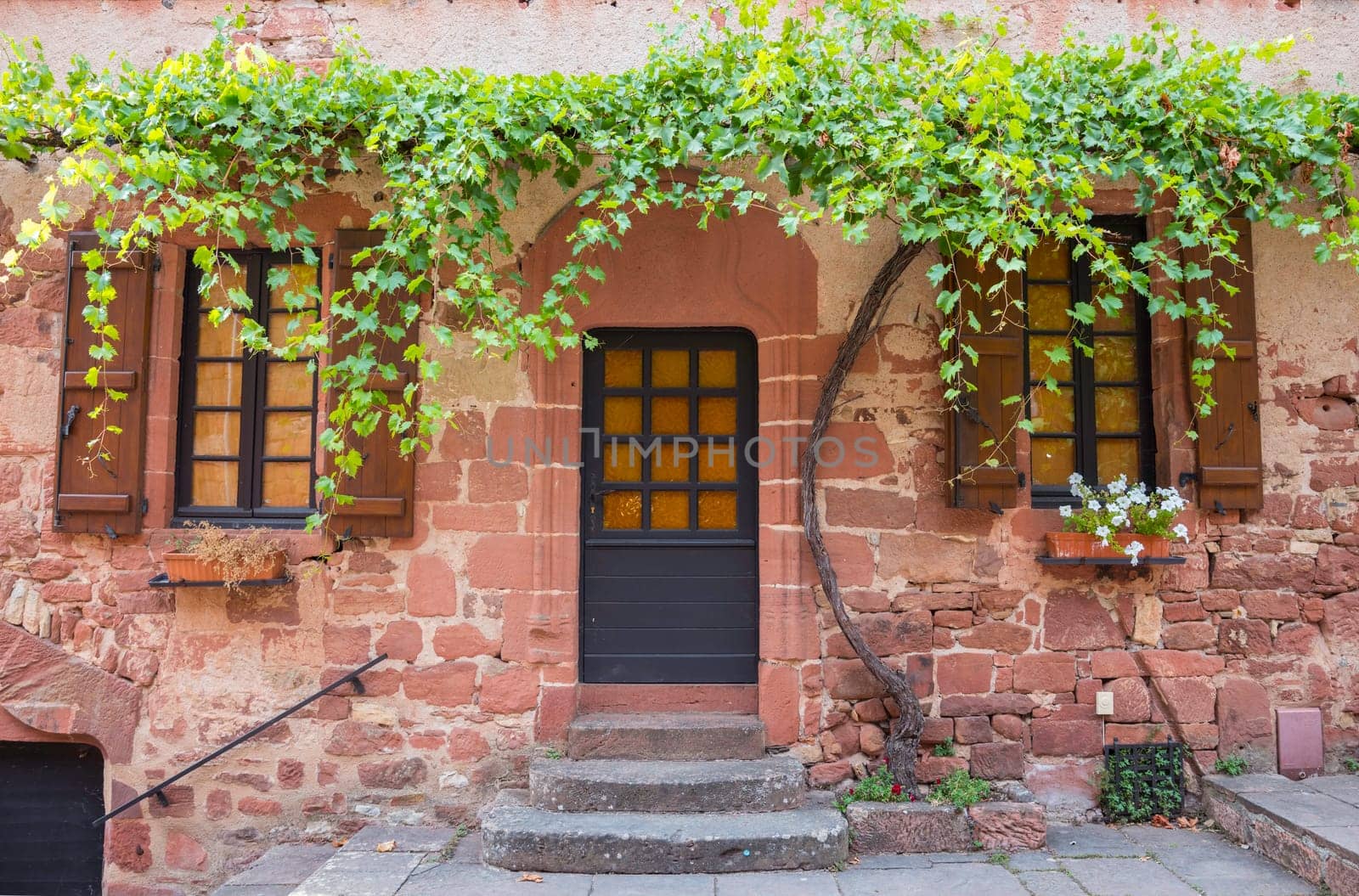 red house with green grapes plant above the door and windows by compuinfoto