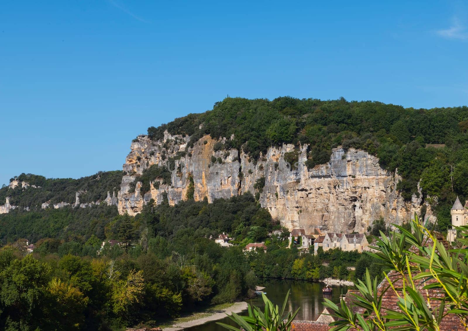 green forest in nature on the rocks in the frence department the dordogne by compuinfoto