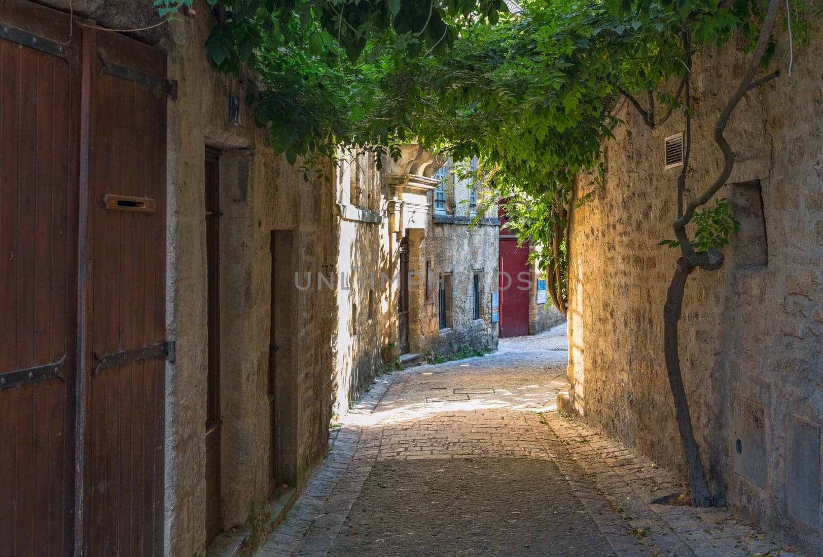 a glimpse under green overhanging plants in a French street by compuinfoto