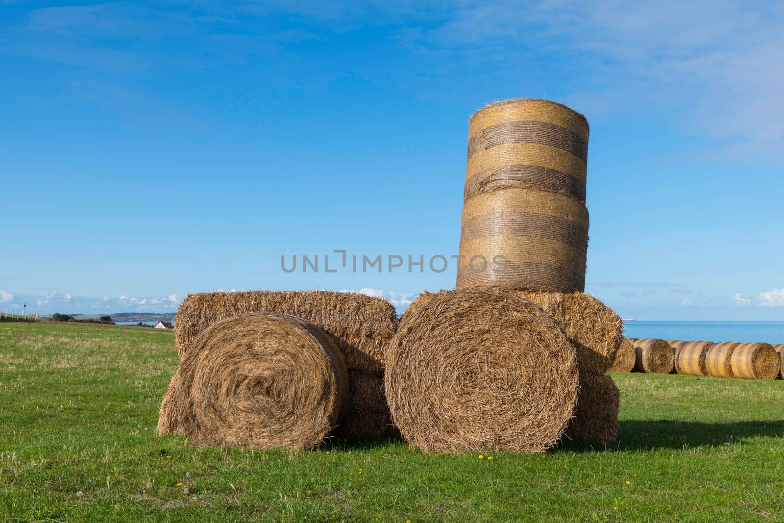 french landscape with lot of hay bales and the sea as background by compuinfoto