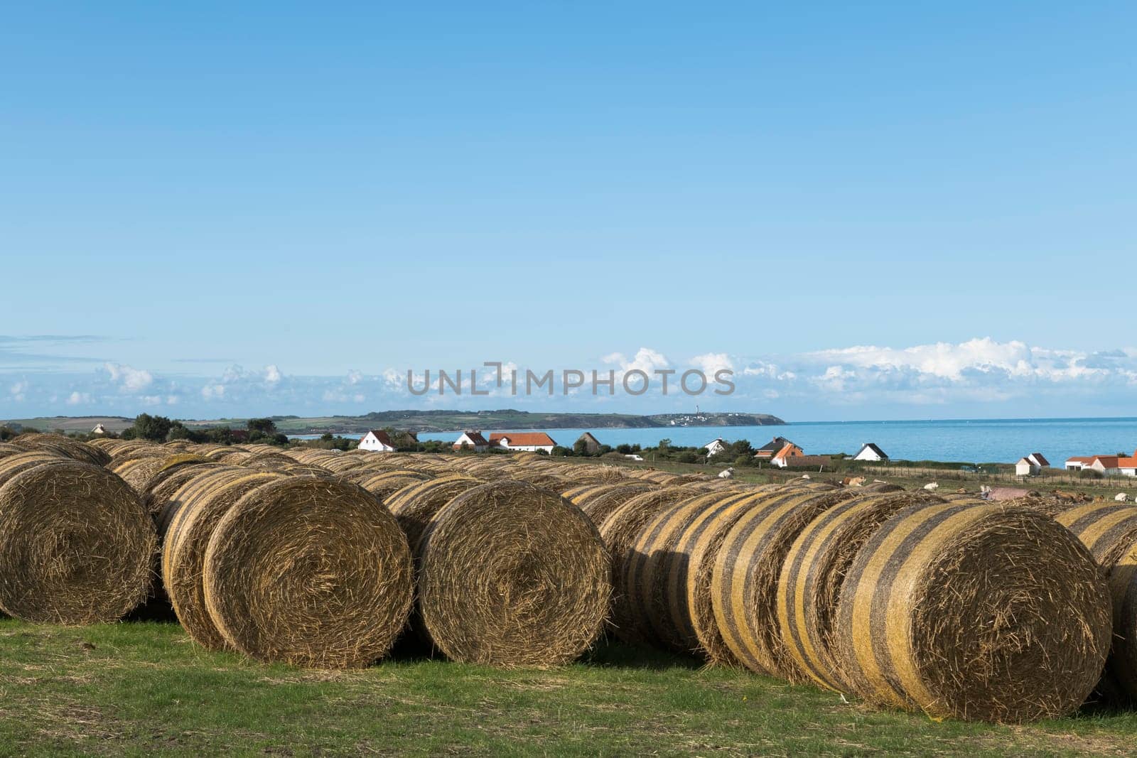 hay bales on the hilly landscape of the opal coast near cap blanc nez in france with the canal between france and england in the background on a summer day