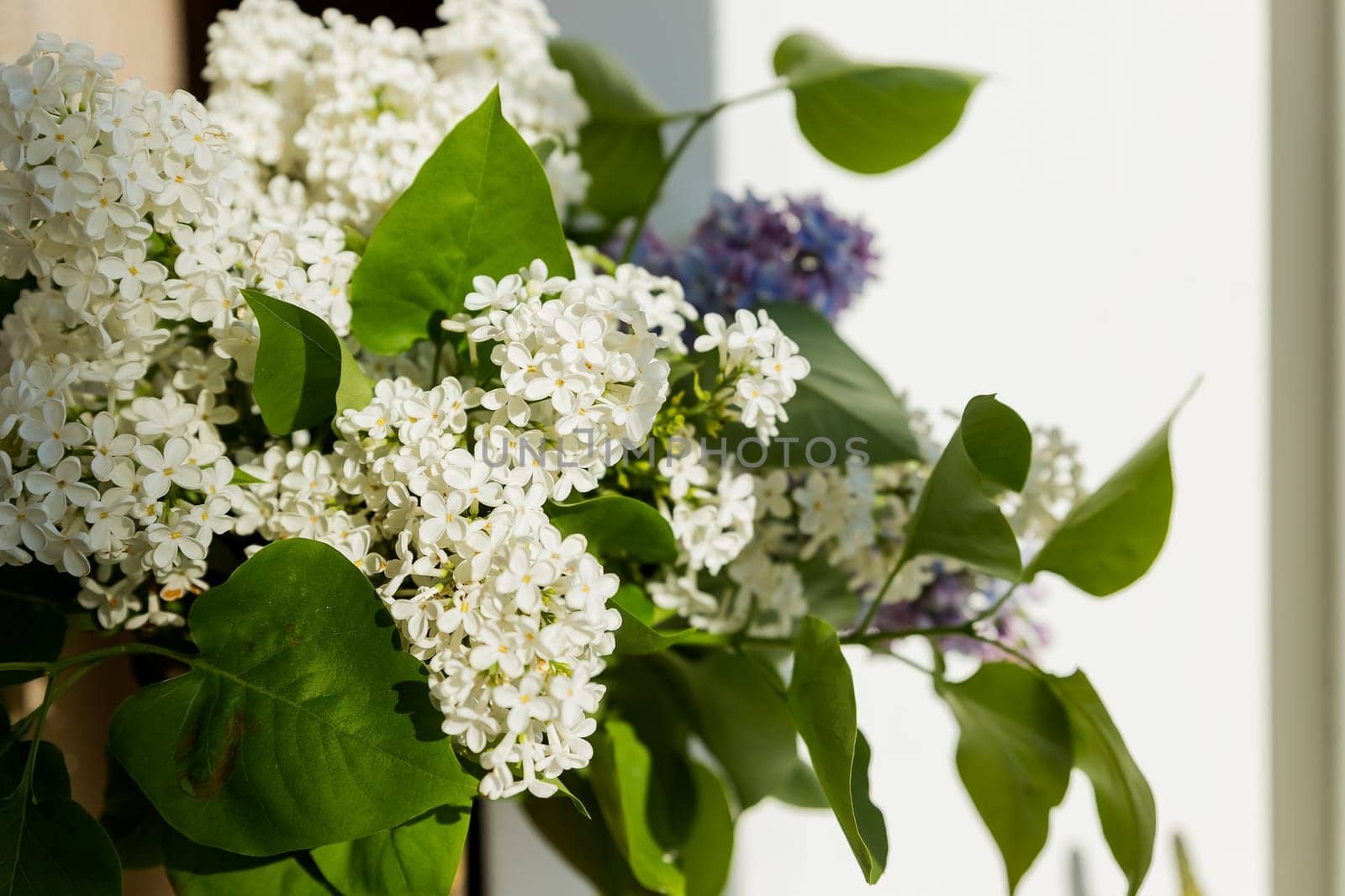 Creative still life. Purple lilac flower bouquet. Spring concept