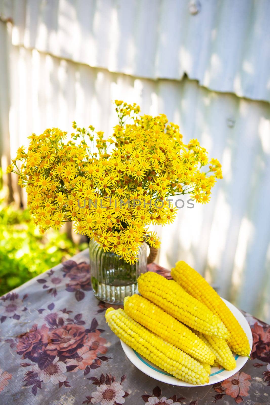 Boiled corn lies on a plate on the table along with a bouquet of yellow flowers. Sunny summer day