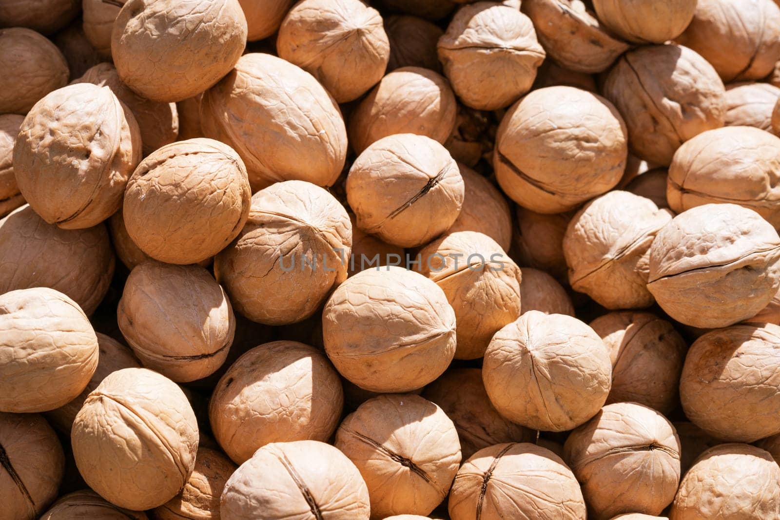 texture unpeeled walnuts in shell top view as background