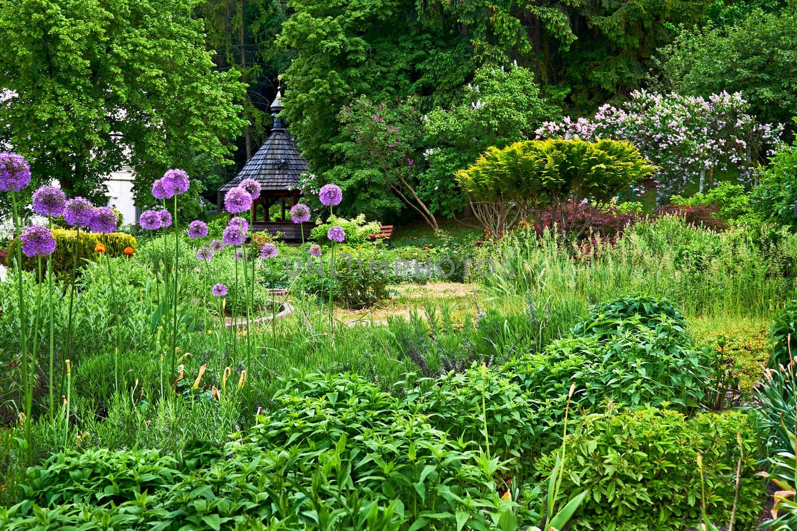 an area of short, mown grass in a yard, garden, or park.