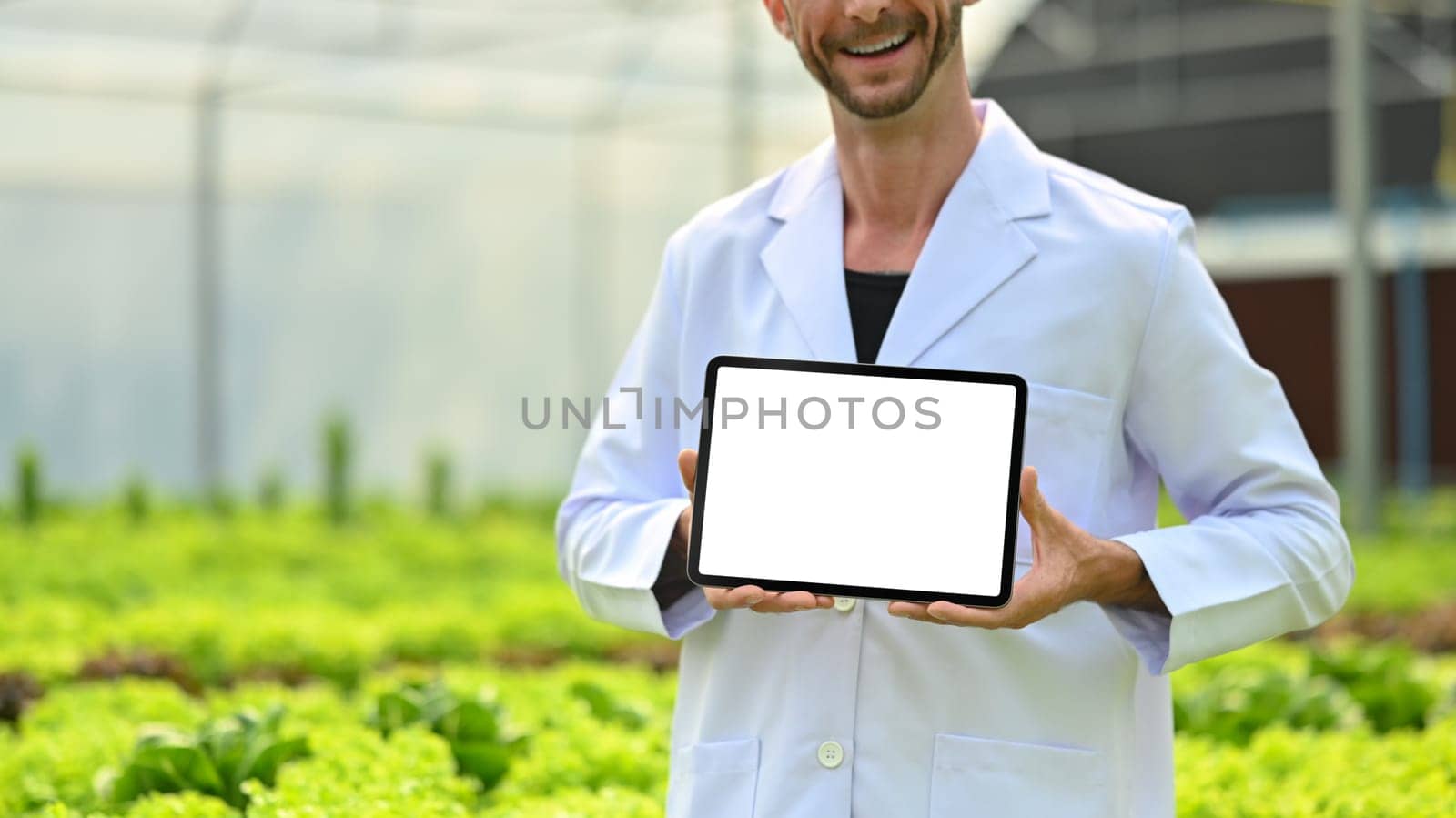 Cropped image of male researcher holding digital tablet with white empty display in greenhouse by prathanchorruangsak