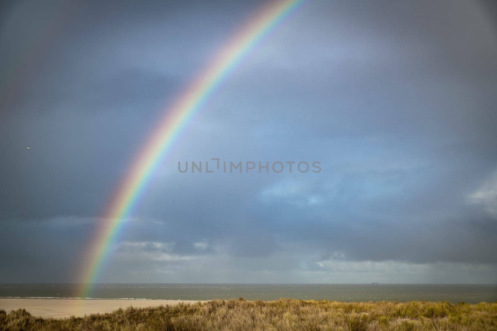 rainbow over the beach of the island texel in the netherlands