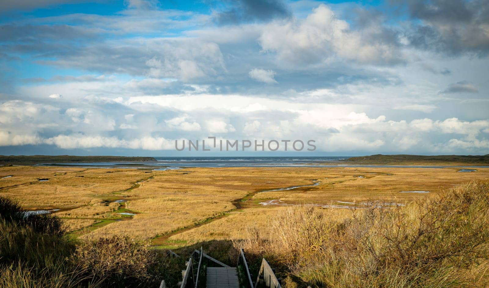 dune valley the Slufter of national park on West Frisian Waddensea island Texel, North Holland, Netherlands