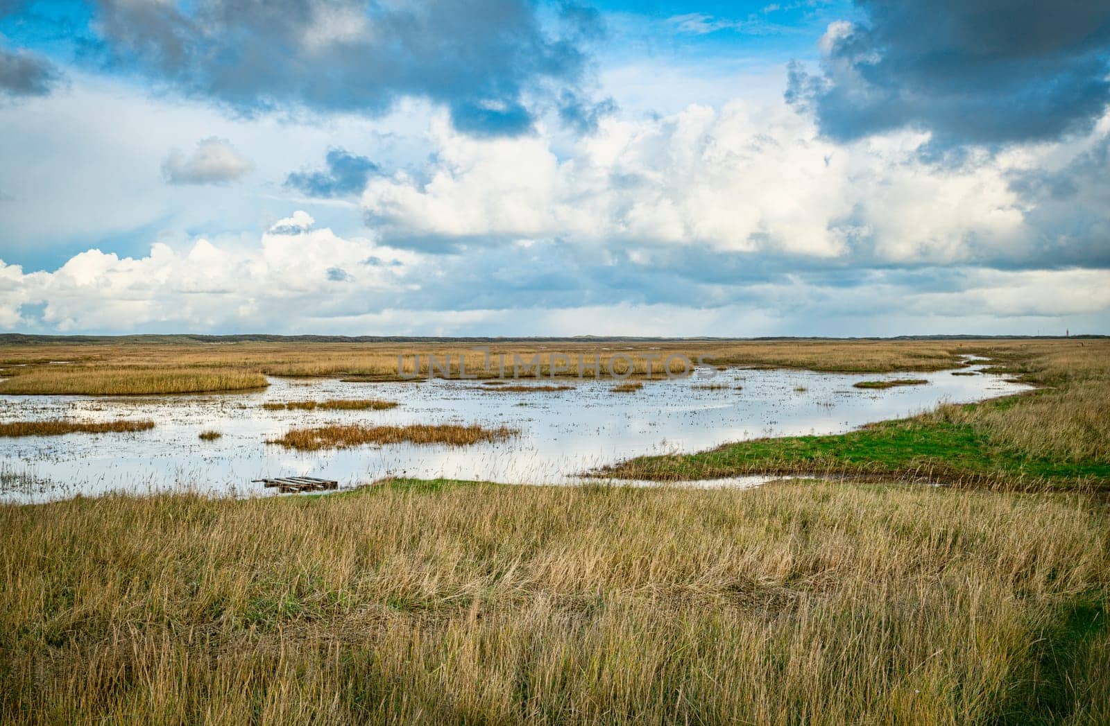 dune valley the Slufter of national park on West Frisian Waddensea island Texel, North Holland, Netherlands by compuinfoto