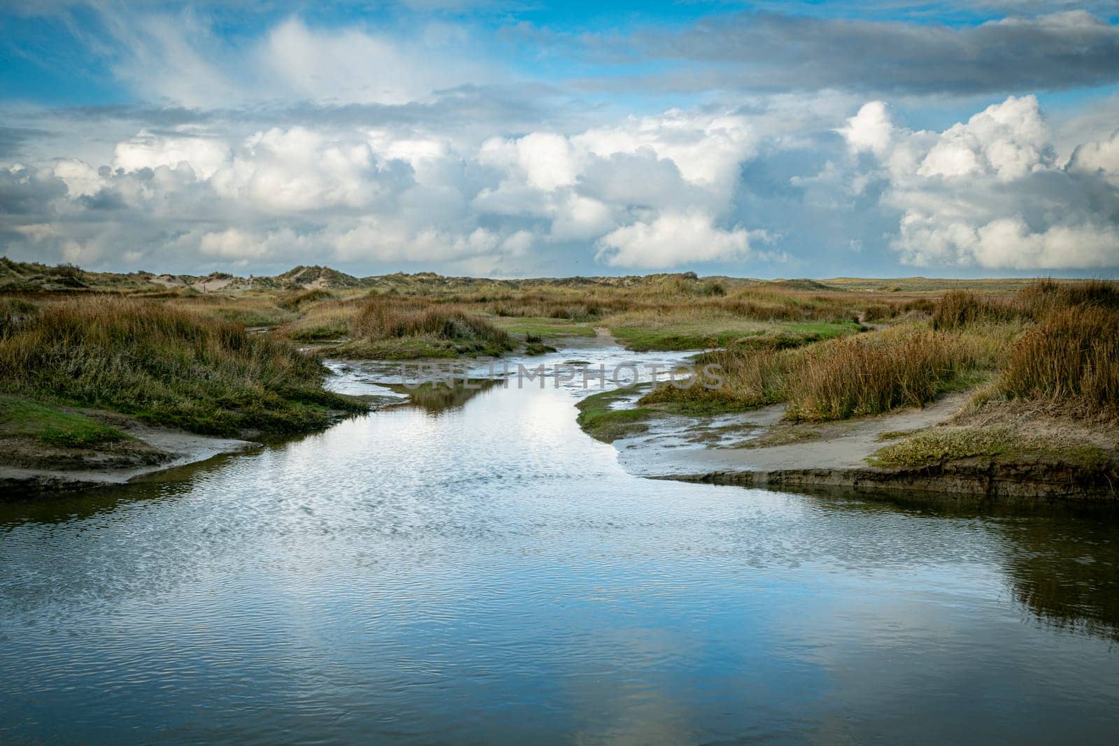 the slufter nature area of the island texel by compuinfoto