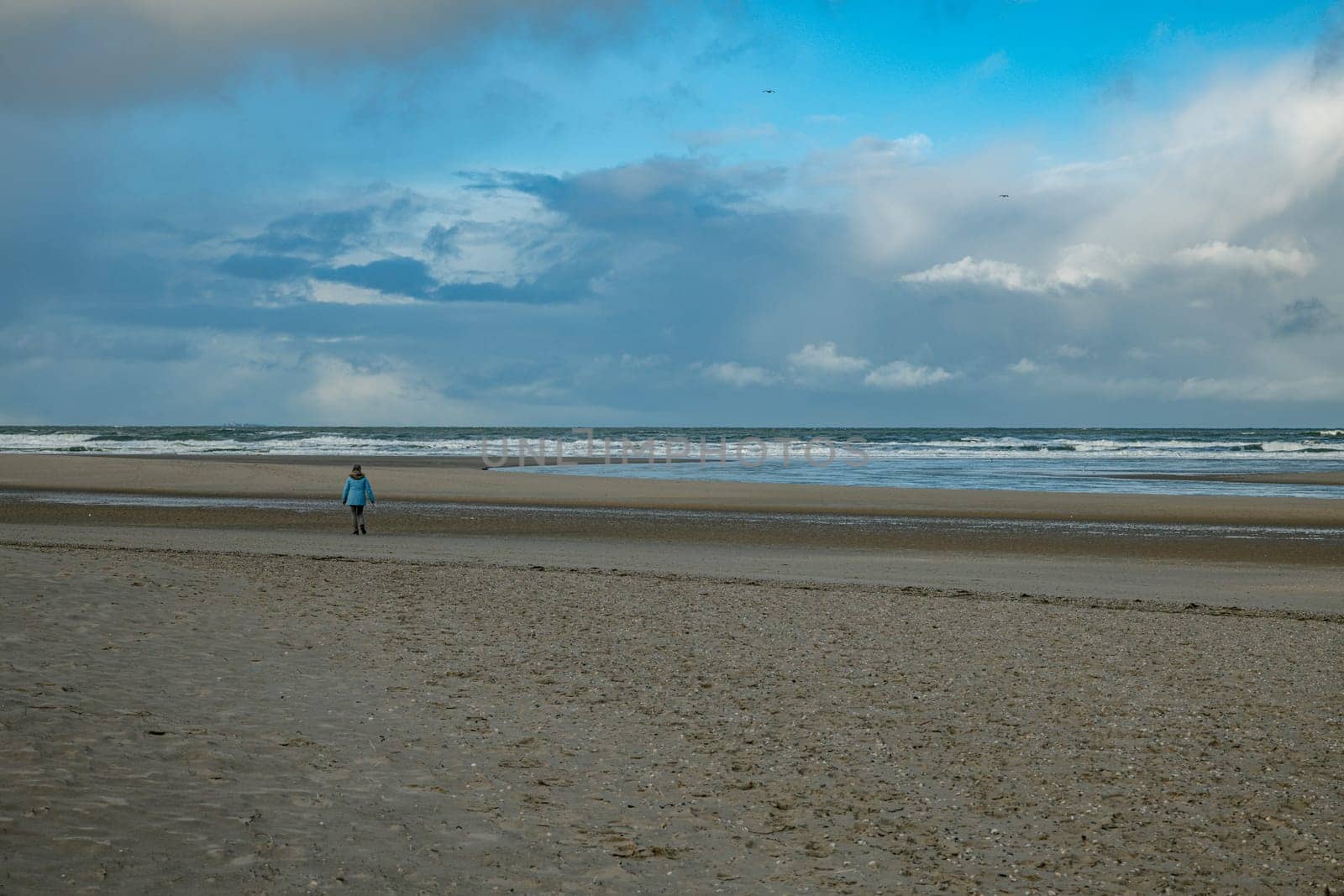 an adult woman in a blue coat walks on the wide sandy beach of Texel during a cloudy day with showers in the background