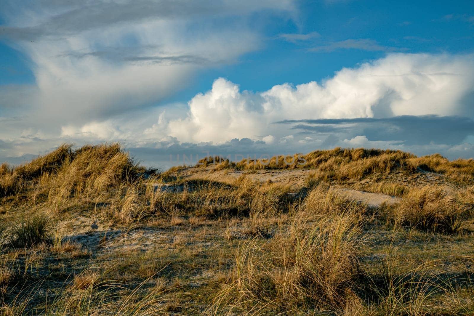 beautiful sand dunes formed by the wind on the beach of the Wadden Island of Texel with the sea and clouds in the background