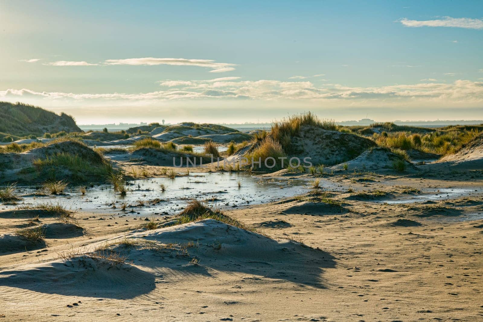 the rugged De Horst nature reserve on the island of Texel with sand dunes, marram grass and water on a sunny winter day