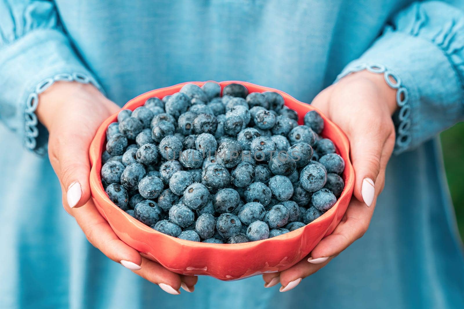 Woman holding blueberries on garden background. Rich blackberry harvest. by kristina_kokhanova
