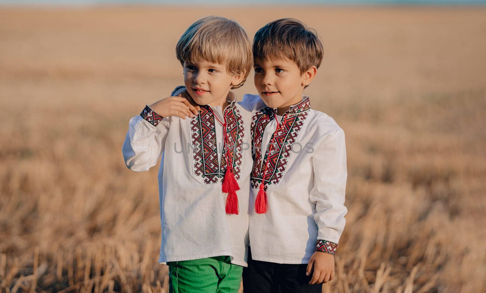 Happy glad boys - Ukrainian patriots children. Ukraine, family, brothers twins, best friends, peace, freedom, win in war. High quality photo