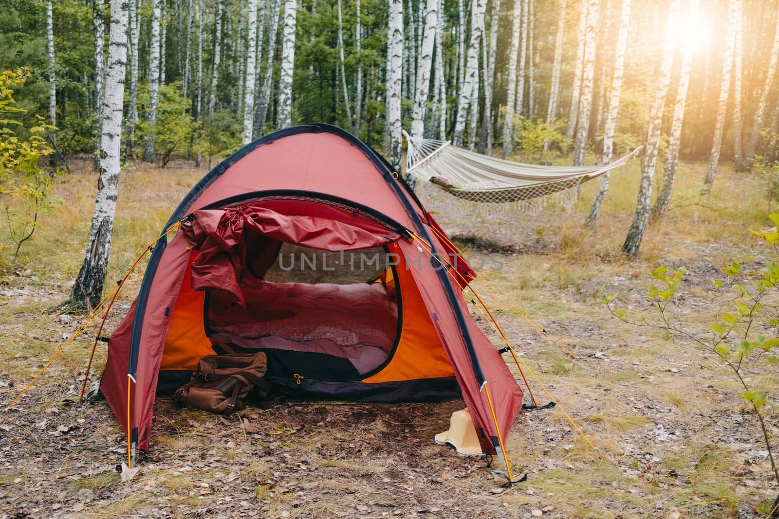 Camping red tent in birch grove. Hammock, sunset light. Adventure,travel,leisure. High quality photo